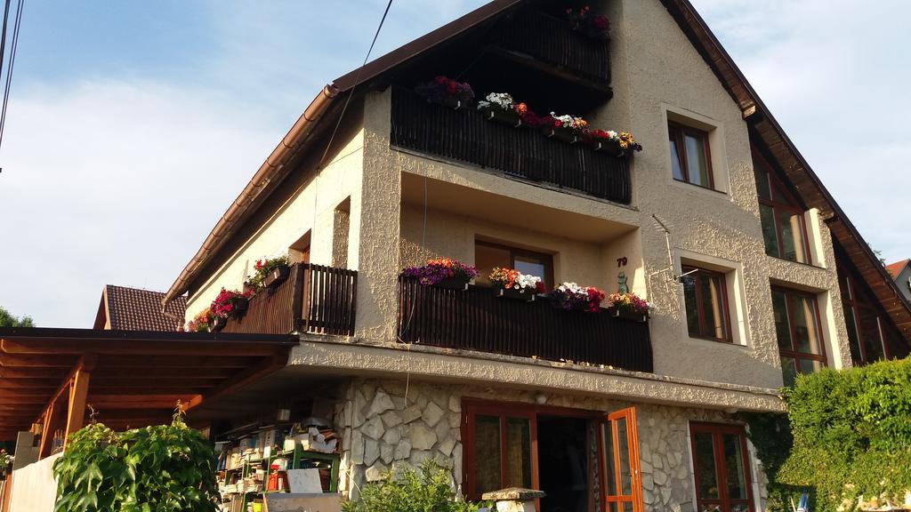 Apartmany Sharka -Sarka Justrova Decin Exterior photo